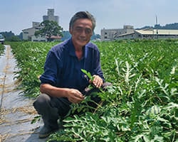 西瓜