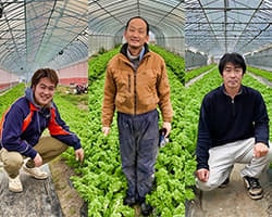 サラダわさび菜