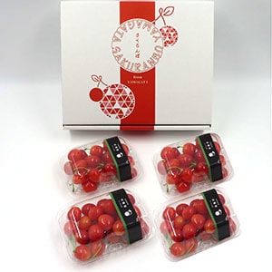 山形県産 さくらんぼ（佐藤錦）150ｇ×4