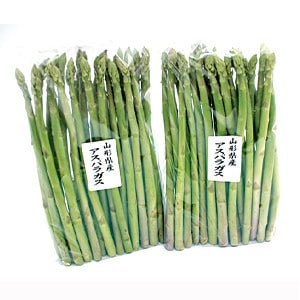 山形県置賜産アスパラガス１ｋｇ